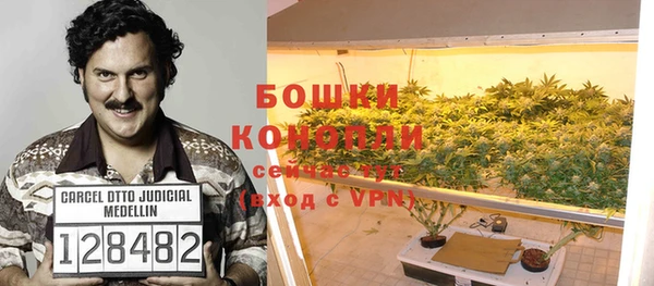 ГАЛЛЮЦИНОГЕННЫЕ ГРИБЫ Верхний Тагил