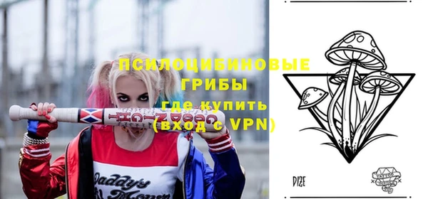 спиды Верея