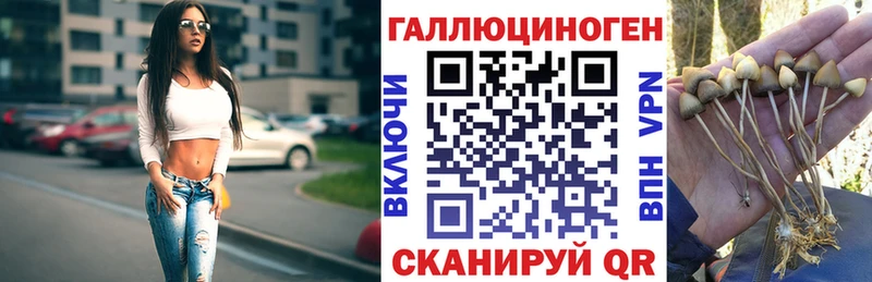 даркнет сайт Старая Купавна Псилоцибиновые грибы MAGIC MUSHROOMS